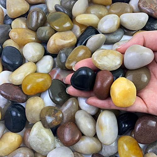 FANTIAN 2 lbs Small Pebbles for Indoor Plants, 0.8-1.2 Inch River Rocks by FANTIAN-GardeningMakesLifeBetter