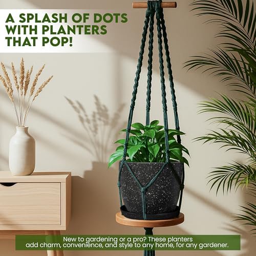 Plant Pots Indoor with Drainage 10 Pack Multi-Size Planters Spotty Black - Image 6