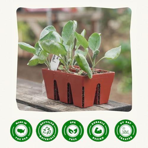 Epic Gardening 6-Cell Seed Starter Tray - 24 Trays - Terracotta - Image 6