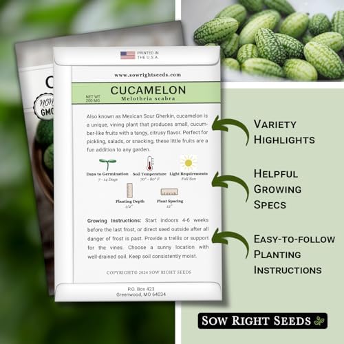 Sow Right Seeds - Cucamelon Seed for Planting Mexican Sour Gherkins 2pk - Image 2