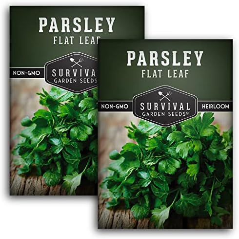 Italian Flat Leaf Parsley Seeds for Planting (2 Pack) by SurvivalGardenSeeds