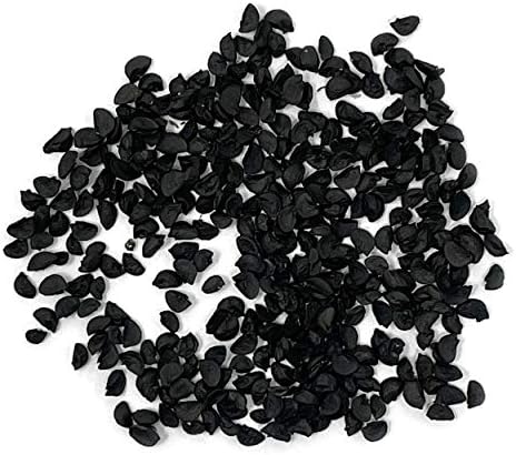 Organic Onion Seeds (Bunching Evergreen) - Approx 200 Seeds - USDA Organic, Non-GMO, Open Pollinated, Heirloom, USA Origin - Image 2