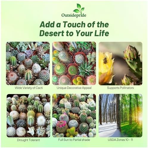 Outsidepride Mix Cactus Seeds - 2000 Pcs Perennial, Drought-Tolerant & Low Maintenance Succulent Seeds for Planting Blooms with Thick & Fleshy Stems for Sunny Gardens & Windowsills - Image 2
