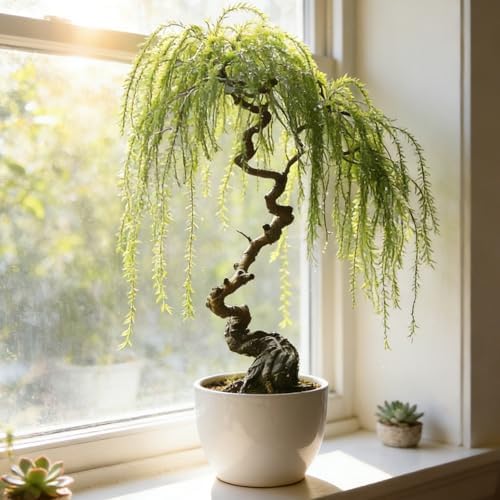 28+pcs Dwarf Willow Bonsai Tree Seeds for Planting, Perennial Willow Tree Seeds to Plant, Heirloom Non-GMO Hummingbird Vine Bonsai Plants for Home Garden Indoors - Image 3