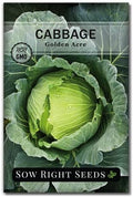 Sow Right Seeds - Golden Acre Cabbage Seed for Planting Vegetable Garden by SowRightSeeds