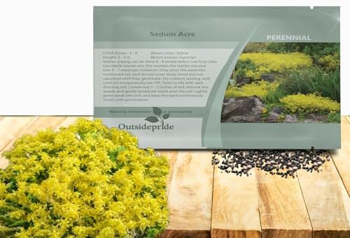 Outsidepride Acre Sedum Seeds - 5000 Pcs Perennial Ground Cover Seeds for Planting, Cold-Hardy & Heat-Tolerant Succulent Plants, Ideal for Rock Gardens, Containers, and Xeriscaping by Outsidepride