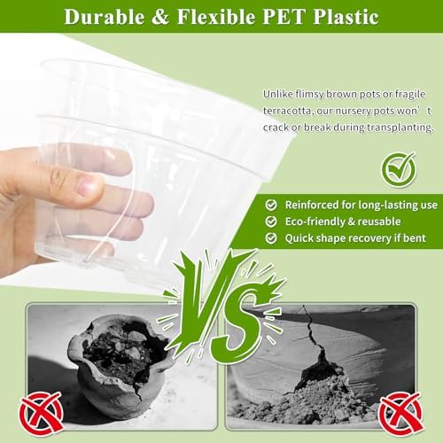 Gute 6/8/10 Inch Clear Nursery Pots with Drainage Holes (14 Pack), Reusable Plastic Plant Pots for Indoor & Outdoor Gardening, Ideal for Seedlings, Succulents, Vegetables, Orchids & More - Image 4