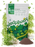 Arugula Sprouting & Microgreens Seeds - 220,000 Non-GMO Heirloom Seed, 1lb Resealable Bag - High-Germination Arugula Seeds for Sprouting in Jars, Soil, Hydroponics & Microgreen Trays by Seedphony
