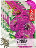 Seed Needs Violet Queen Zinnia Seeds to Plant Cut Flowers - 5 Packs by SeedNeeds