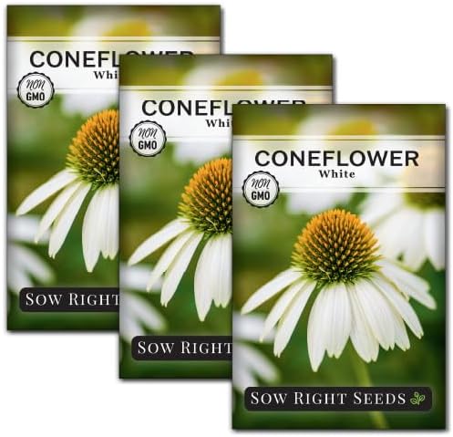 Sow Right Seeds- White Coneflower Seed for Planting Your Own Perennials 3pk by SowRightSeeds