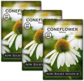 Sow Right Seeds- White Coneflower Seed for Planting Your Own Perennials 3pk by SowRightSeeds