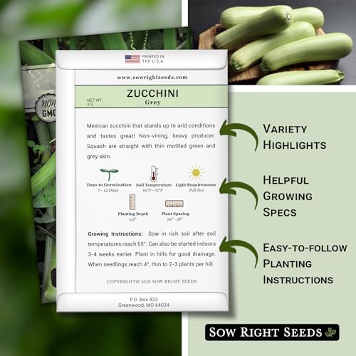 Sow Right Seeds - Grey Zucchini Seed for Planting Summer Squash Garden 3pk - Image 2