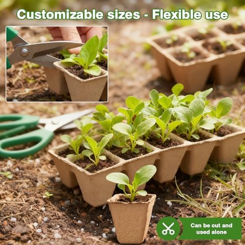 240 Cells Seed Starter Tray, Plant Starter Kit for Seedlings - Image 5