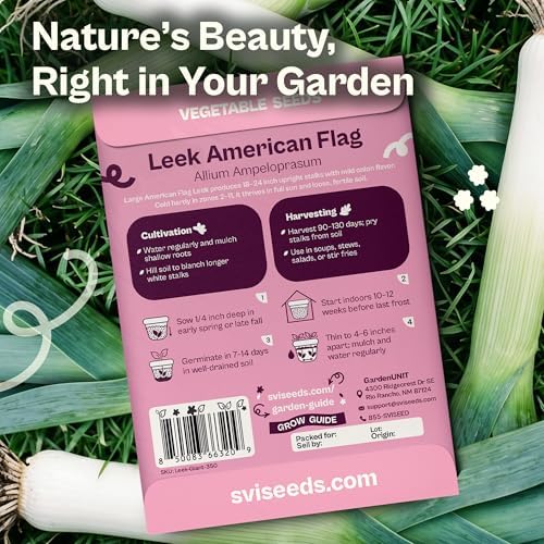 SVI 350 Large American Flag Leek Seeds (Allium ampeloprasum) – Culinary Leek Seed Packets – Cold Hardy Heirloom Vegetable Seeds Vegetable Garden, Home Garden Beds, Greenhouse & Outdoor Growing - Image 2