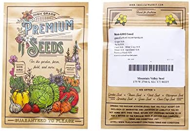 Mountain Valley Seed Co Bianco Di Trieste Zucchini Seeds 1 Oz ~250 Seeds - Image 2