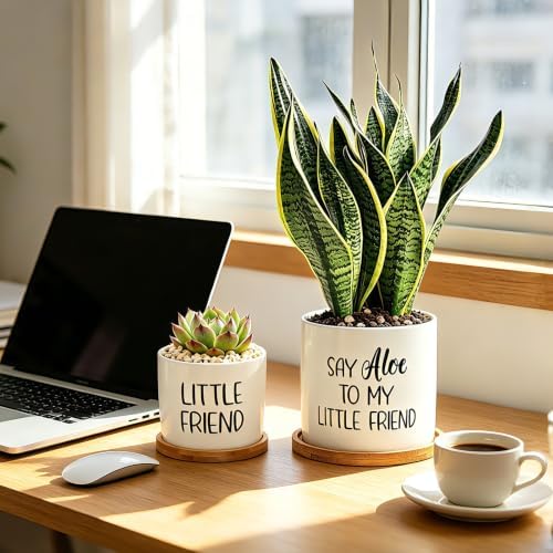 Say Aloe to My Little Friend Planter Pot Plant Lover Set with Bamboo Tray - Image 6