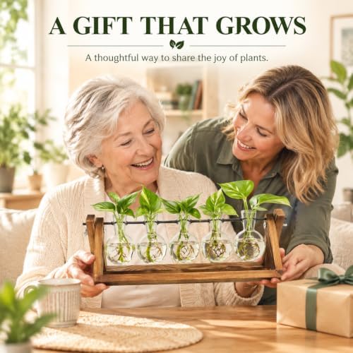 Plant Propagation Stations with Wooden Stand & 5 Glass Bulb Vases - Image 6