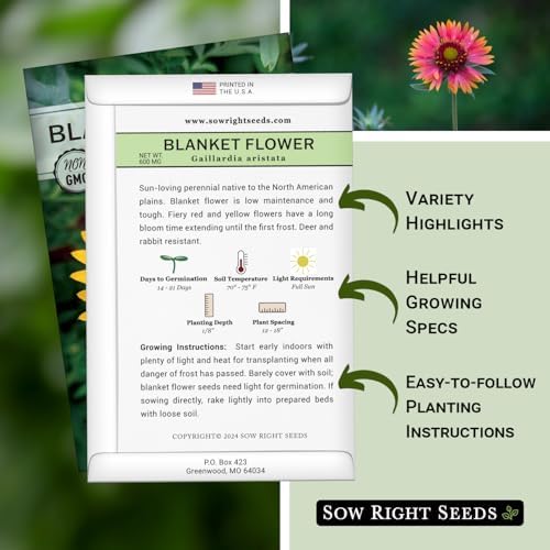 Sow Right Seeds - Blanket Flower Seed for Planting Perennial Wildflower - Image 2