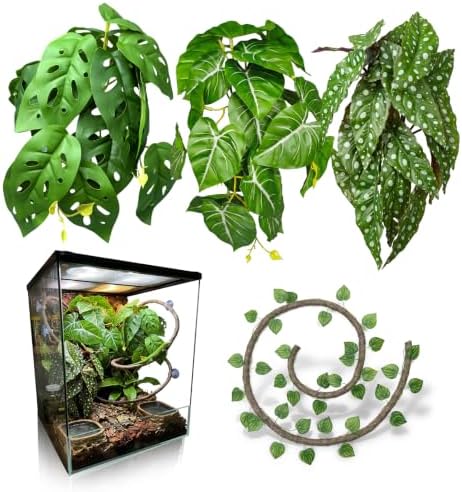 5 Pcs Reptile Plants & Habitat Decor Kit - 3 Artificial Plants & Large 5ft Jungle Vine Branch, Terrarium Tank Decor & Climbing Accessories for Gecko (Polka Dot Begonia, Monstera Adansonii, Alocasia) by FuntinshdyBrand