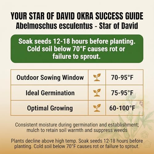50 Star of David Okra Seeds for Planting - Large Round 8-Ridged Pods, Israeli Heirloom, Non-GMO, USA Grown by RDR Seeds - Image 3