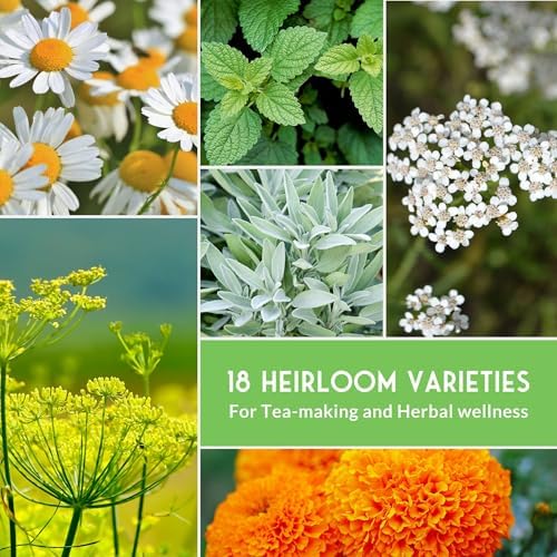 Medicinal Herb Seeds for Planting, 18-Variety Heirloom Non-GMO Pack - Image 3