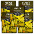 Sweet Banana Pepper Seeds for Planting – Survival Garden Seeds (5 Pack) by SurvivalGardenSeeds