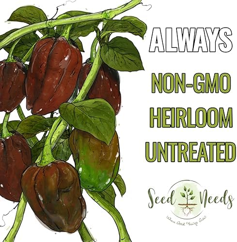 Seed Needs Chocolate Habanero Pepper Seeds to Plant Vegetables - 1 Pack - Image 5