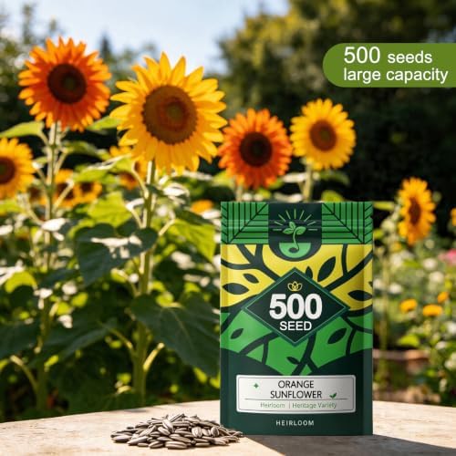 Sunflower Seeds to Plant, Easy to Grow Cut Flower, Heirloom Annual Flowers - Image 3