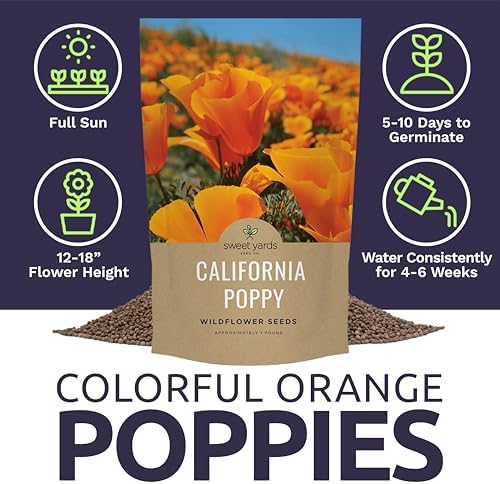 Bulk California Orange Poppy Wildflower Seeds - 5 Pounds - Over 1,600,000 Native Seeds - California State Flower! - Image 6