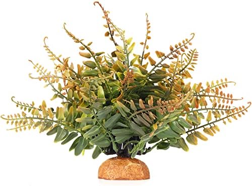 Fall Colors Boston Fern, Reptile Terrarium Snake Tank Accessories by WOLEDOE