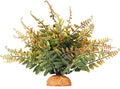 Fall Colors Boston Fern, Reptile Terrarium Snake Tank Accessories by WOLEDOE