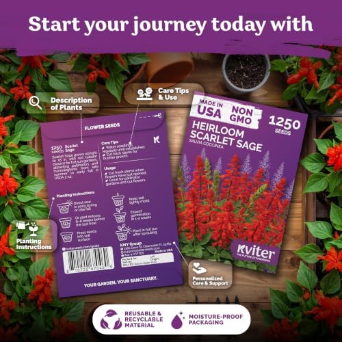 1,250 Scarlet Sage Heirloom Flower Seeds for Planting, Salvia Coccinea - Image 2