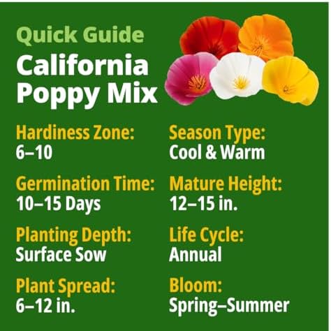 HOME GROWN Formula Mix CaliforniaPoppy 11000 Seeds Eschscholzia californica - Image 3