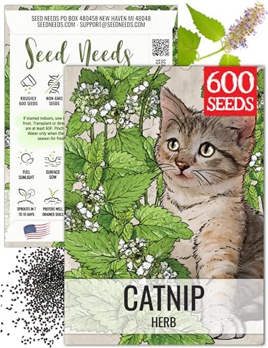 Seed Needs Catnip Seeds to Plant an Herb Garden - 1 Pack by SeedNeeds