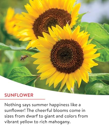 Burpee Fast Blooming 25,000 Non-GMO Planting, 1 Bag Easy Grow Wildflower Seed Mix Contains 14 Flower Varieties for Home Garden - Image 3