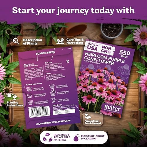 550 Purple Coneflower Heirloom Flower Seeds, Echinacea Purpurea - Image 2