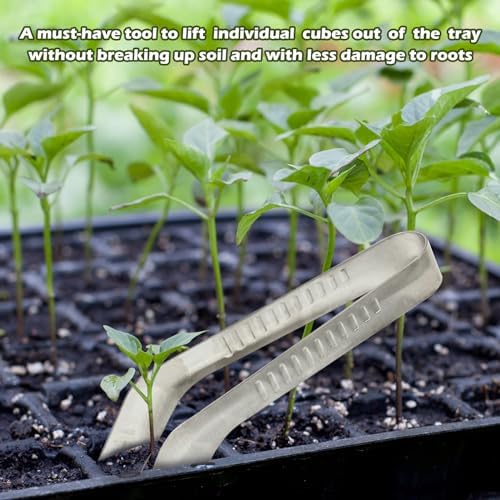 1 PCS Seedling Transplant Tongs, Stainless Steel Seed Planter Tool - Image 5
