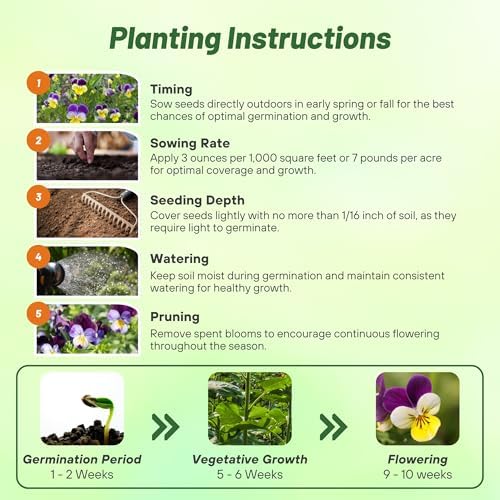 Outsidepride Johnny Jump Up Viola Wild Flower Seeds - 5000 Pcs Easy-to-Grow, Compact & Hardy Perennial Seeds for Planting Outdoors, Ideal for Pollinators, Garden Beds, Containers, & Hanging Baskets - Image 4