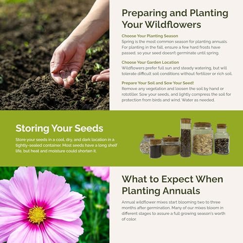 Eden Brothers Purple Rain Flower Mixed Seeds for Planting, 5 lb, 2,400,000+ Seeds with Zinnia Purple Prince & Violet Queen, Cosmos, Attracts Pollinators, Plant in Spring, Zones 3, 4, 5, 6, 7, 8, 9, 10 - Image 6