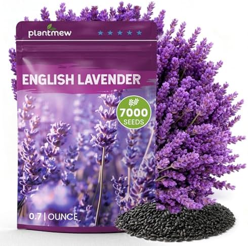 Lavender Seeds for Planting, English Lavender Seeds Indoor & Outdoor, 7000+ Heirloom Seeds, High Germination, Easy to Grow, Fragrant Flowers, Culinary & Crafts (0.7 oz) by PLANTMEW