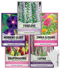 Gardeners Basics Hummingbird Garden Flower Seeds for Planting, 5 Varieties by GardenersBasics