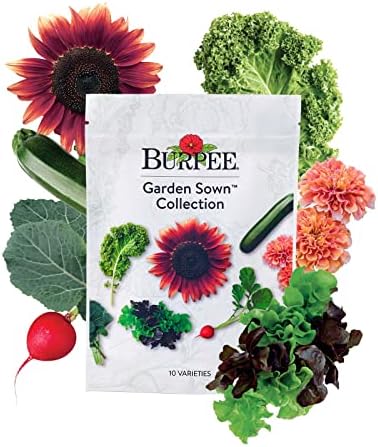 Burpee Garden Sown Flower, Herb & Vegetable 10 Packs of Non-GMO Basil, Lettuce, Cucumber, Radish, Spinach, Kale, Zucchini, Sunflower & Marigold, Seeds for Planting by Burpee