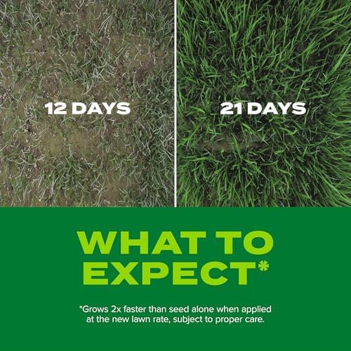 Scotts Turf Builder Rapid Grass Sun & Shade Mix, 10 lbs. - Image 6