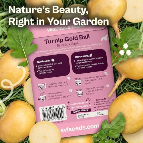 SVI 2500 Gold Ball Turnip Heirloom Vegetable Seeds Brassica rapa Non GMO - Image 2