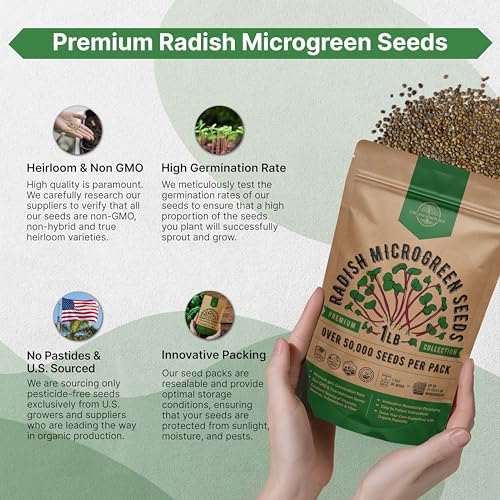 Organo Republic Radish Sprouting & Microgreens Seeds - Non-GMO, Heirloom Sprout Seeds Kit, 1lb Resealable Bag for & Growing Microgreens in Soil, Coconut Coir, Aerogarden & Hydroponic System. - Image 6