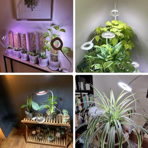2 Packs Plant Lights for Indoor Growing, Clip on Grow Light - Image 2