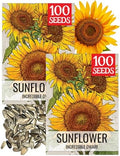 Seed Needs Incredible Dwarf Sunflower Seeds to Plant Cut Flowers - 2 Packs by SeedNeeds