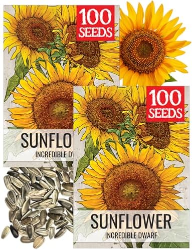 Seed Needs Incredible Dwarf Sunflower Seeds to Plant Cut Flowers - 2 Packs by SeedNeeds