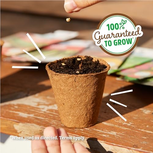 Back to the Roots 100% Heirloom Rescued Seeds, Variety Pack, 30ct of Organic Veggies, Herbs & Flowers to Prevent Waste (Assortment Varies) - Image 6