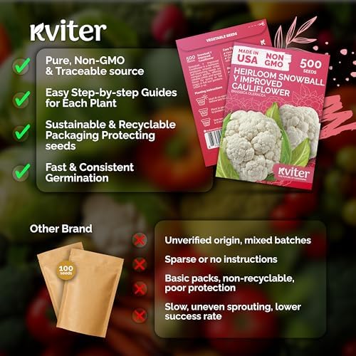 500 Snowball Y Improved Cauliflower Seeds for Planting, Brassica Oleracea - Image 5